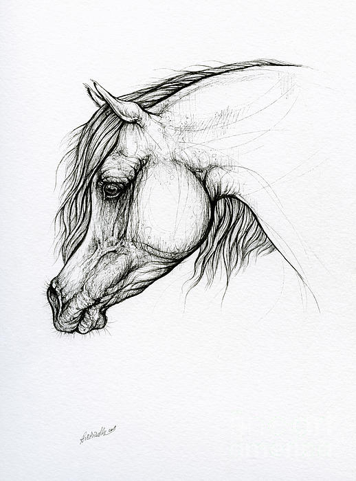 Horse ink art 2019 10 10 by Angel Ciesniarska Horse ink art 2019 10 10 by Angel Ciesniarska
